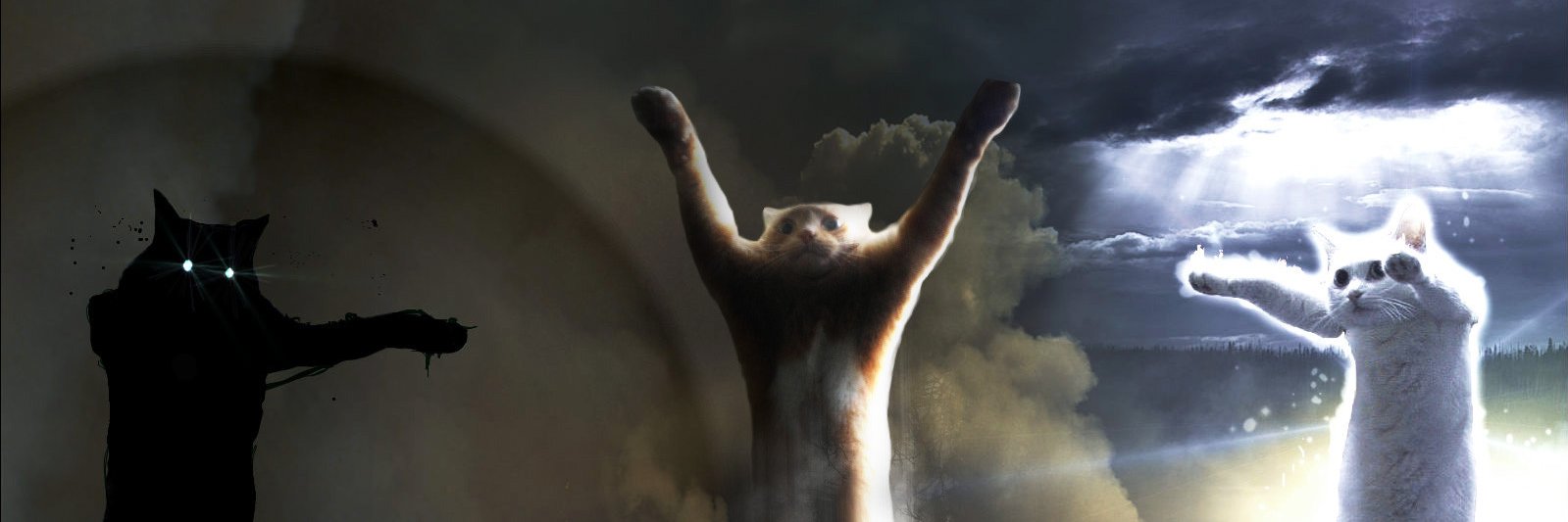 Heather Thomas banner