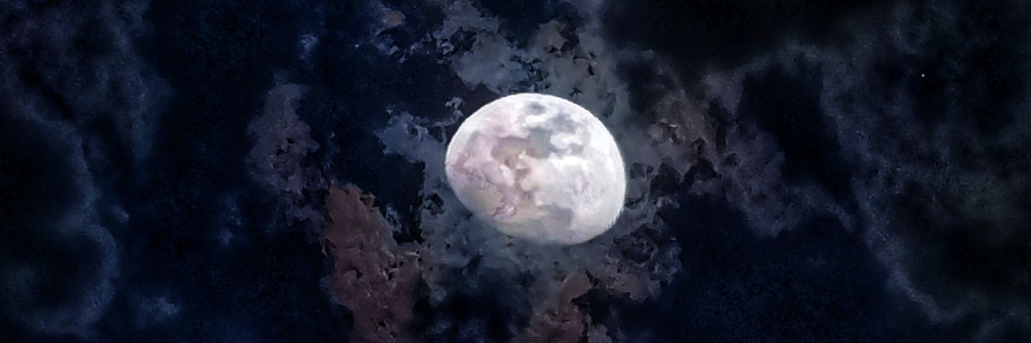 ale_alonso1981's profile banner image