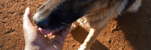 Siccmaina Profile Banner