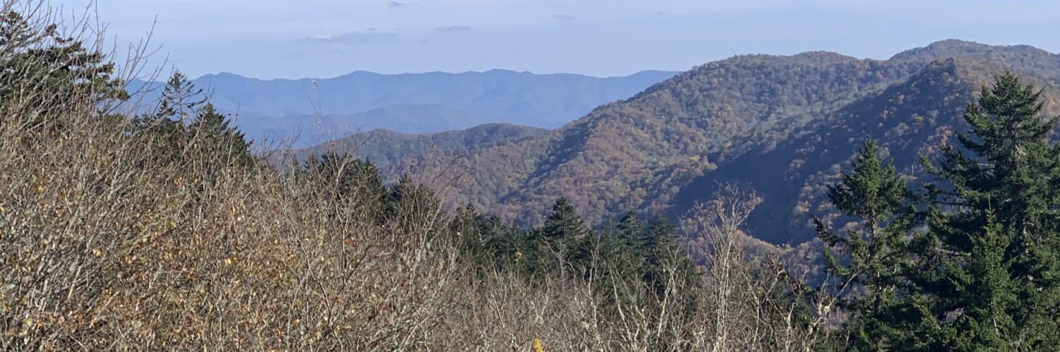 Mark Michelson banner