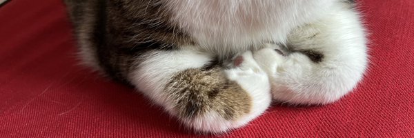 stormhasgone Profile Banner