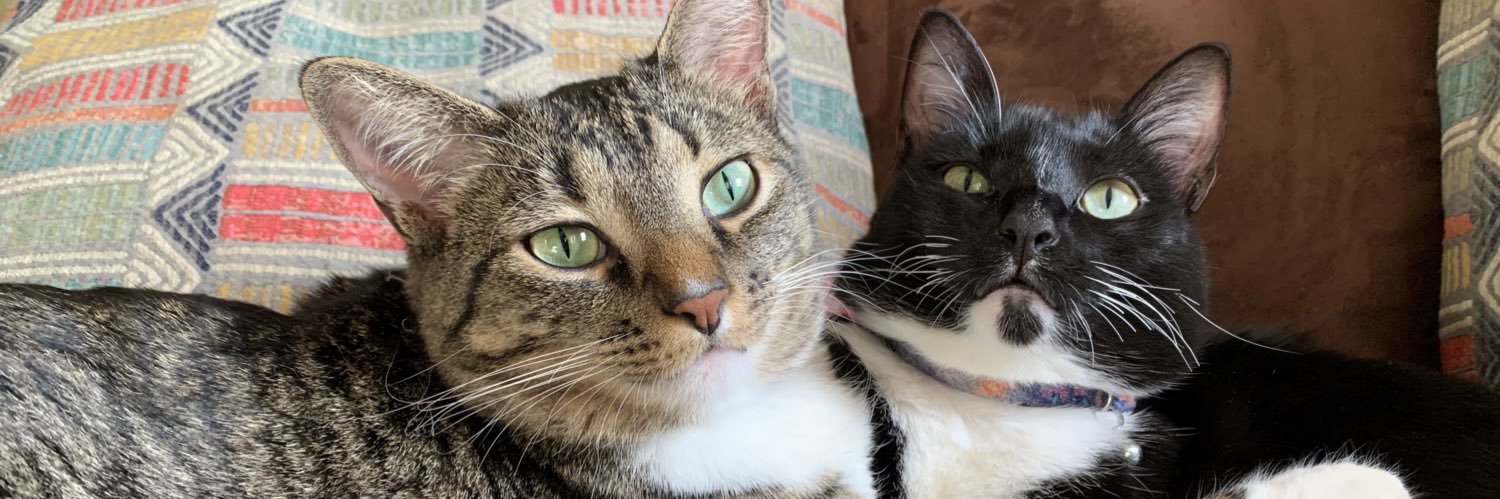 graceshiiields's profile banner image