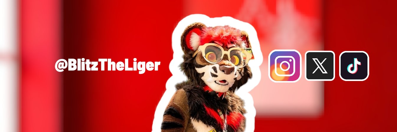 BlitzTheLiger's profile banner image
