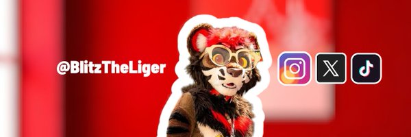 BlitzTheLiger Profile Banner