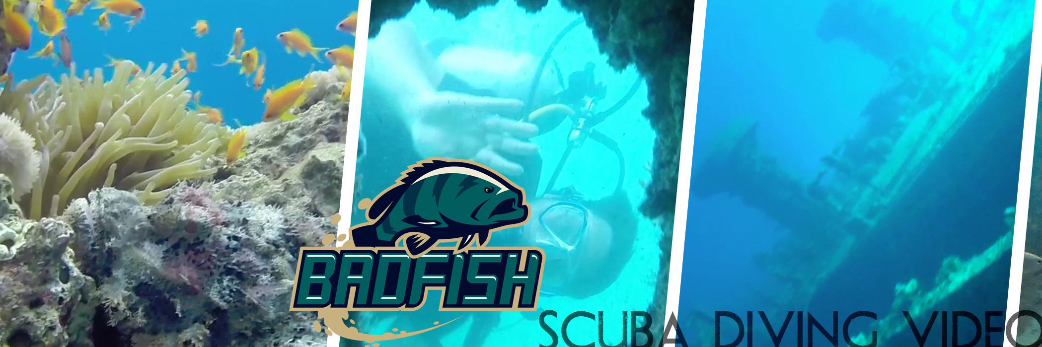 Zid banner