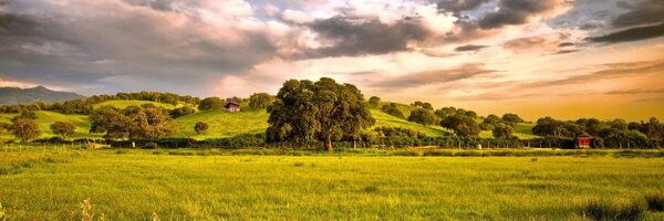 FSUSDHR Profile Banner