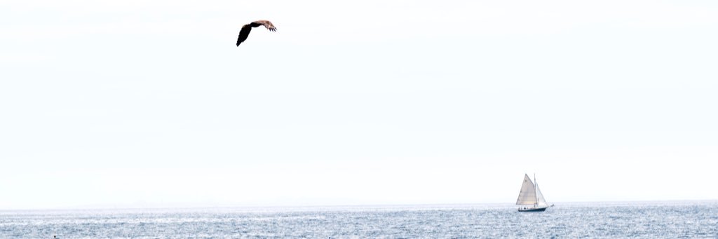 willpew's profile banner image