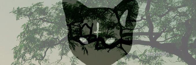 PvBryan's profile banner image