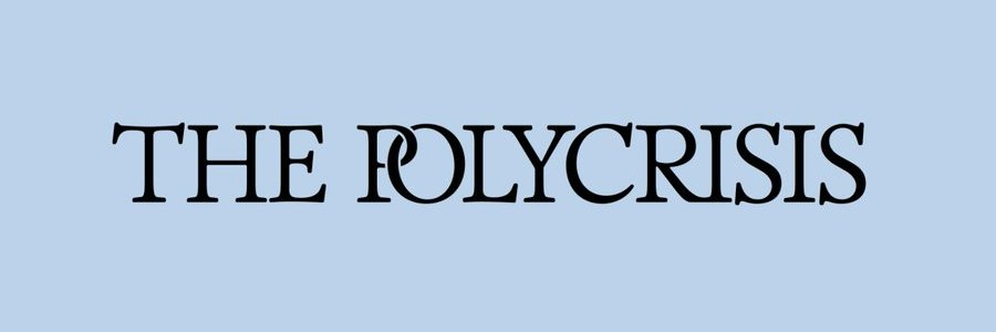 The Polycrisis banner