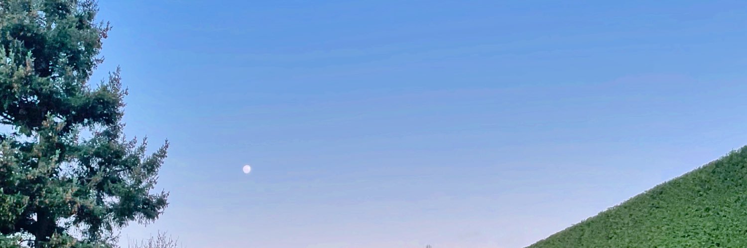Newl3na's profile banner image