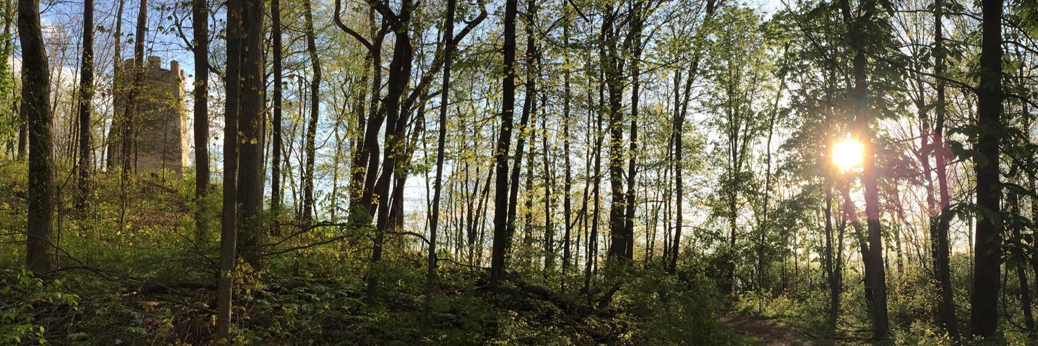 tcsandlund's profile banner image