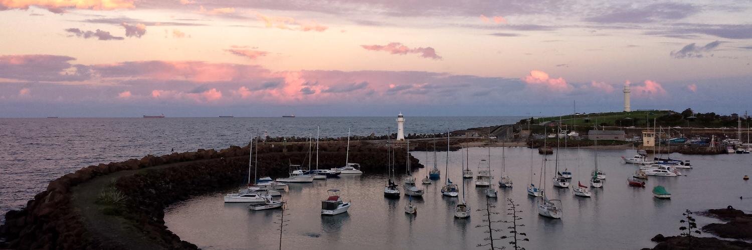 Dr. Irit Alony banner