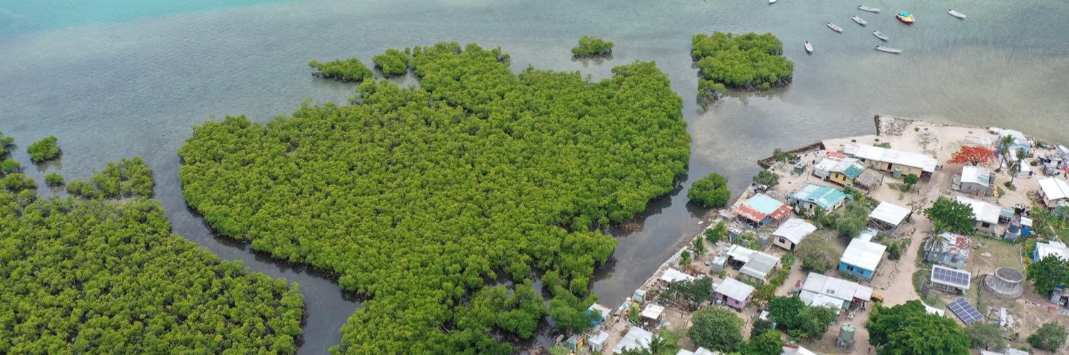 Pacific Islands Development Forum banner