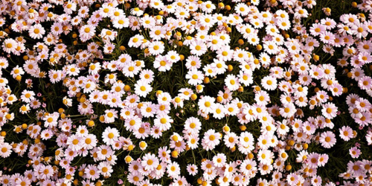 _EllMay's profile banner image