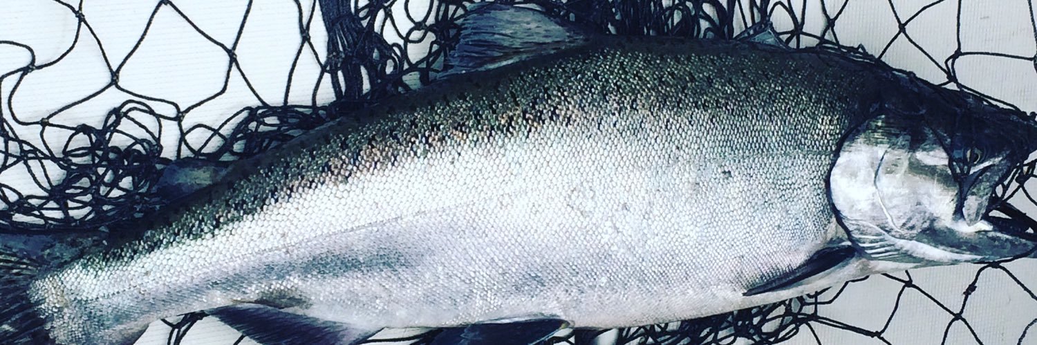 BigDogCharters's profile banner image