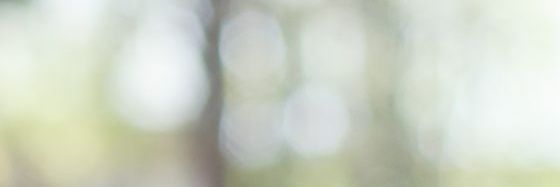 bloomsteria's profile banner image