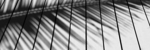 lisaaa__'s profile banner image