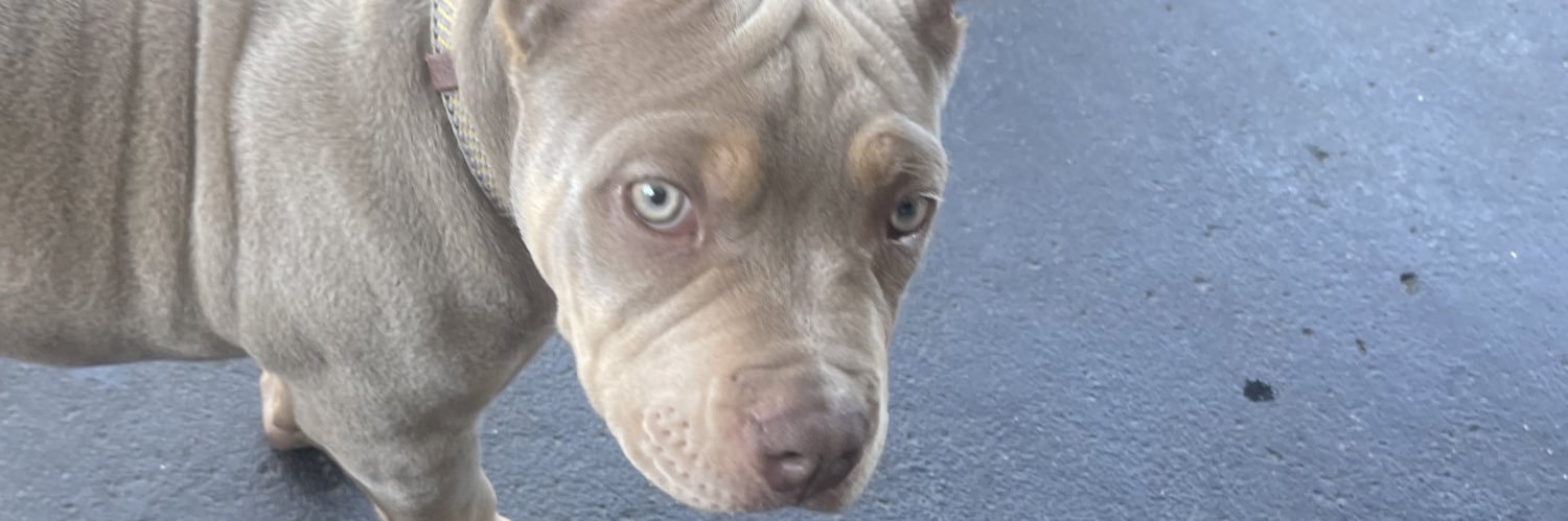 Let’s not take this to seriously banner
