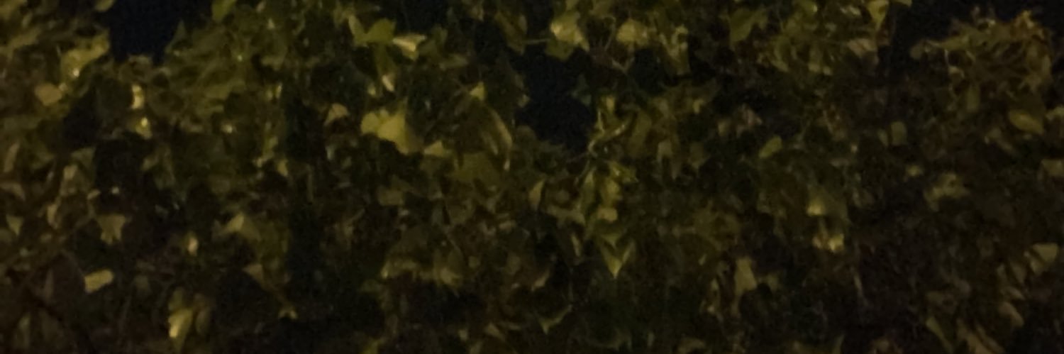 Maraterol's profile banner image