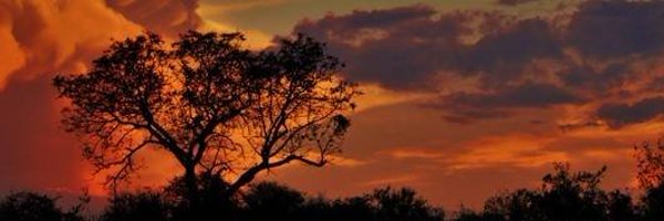 StanwiseRS Profile Banner