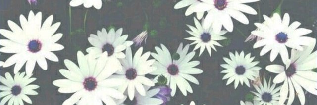 xmaca_'s profile banner image