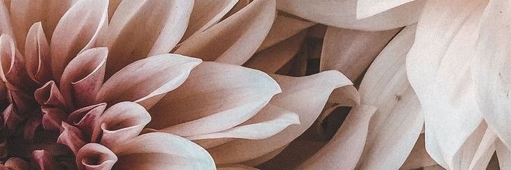 tzytli's profile banner image