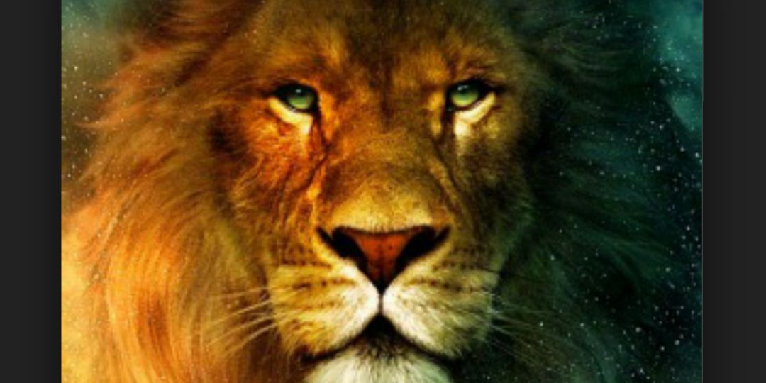 IbrahimovicNerm's profile banner image