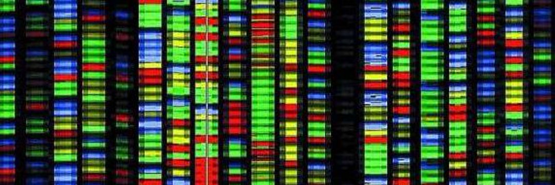 Gene Decode banner