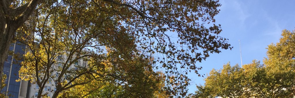 alilentz's profile banner image