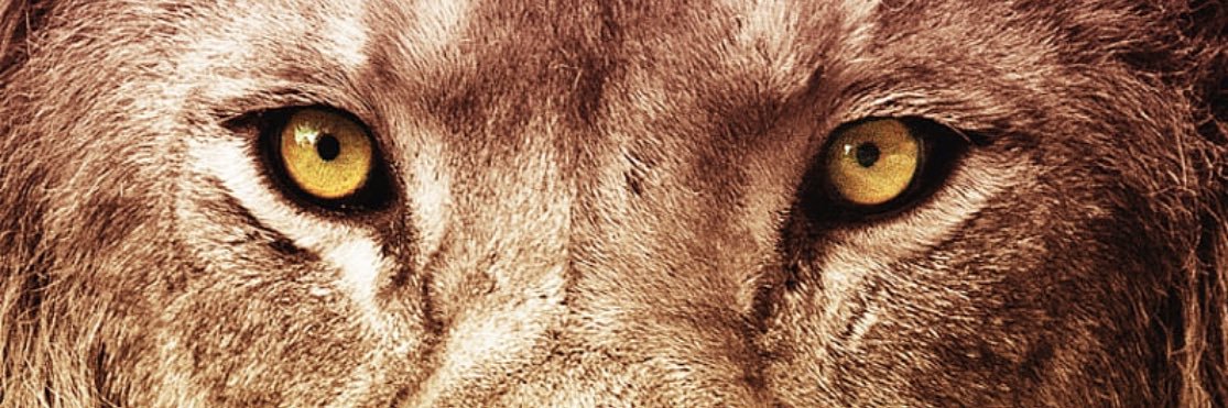 TrRaytona's profile banner image