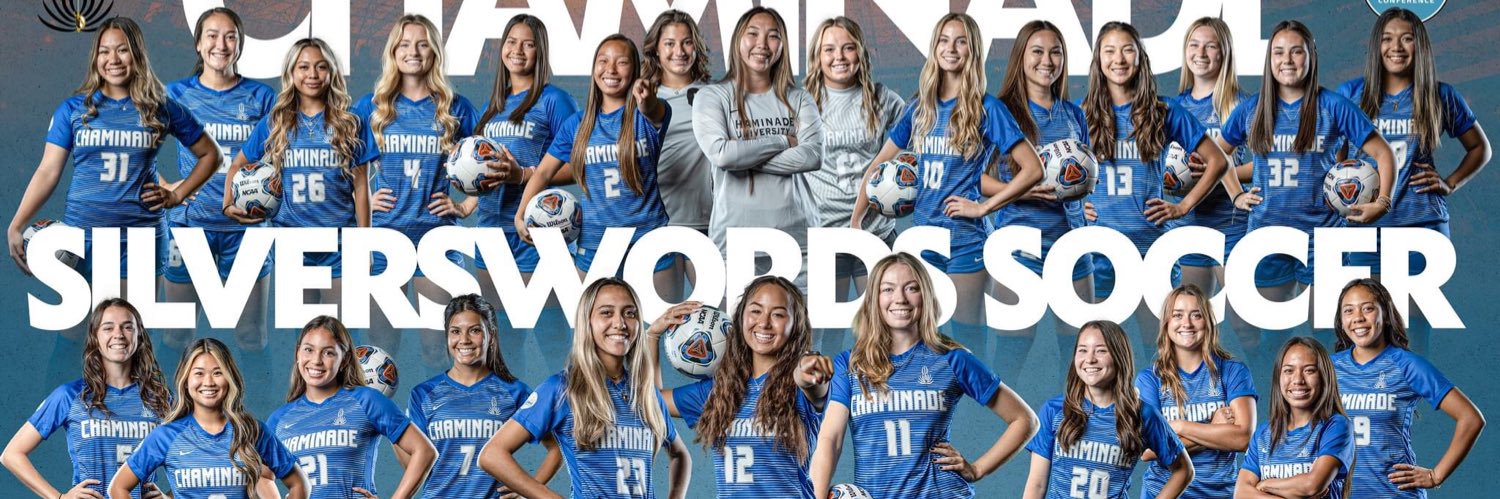 SwordsWSoccer's profile banner image
