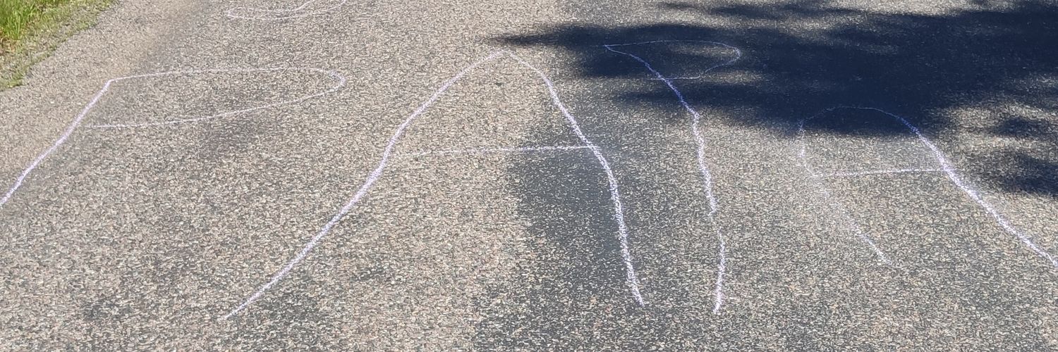 Daniel Lechner banner