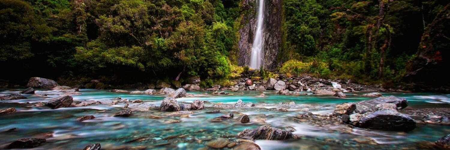 Griffin Stewart banner