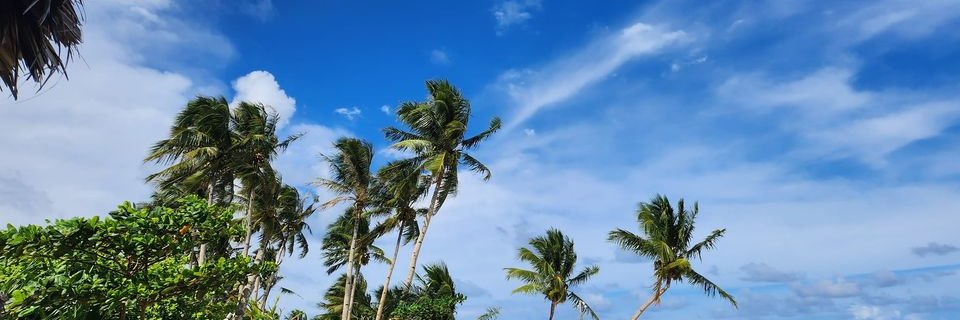 조기숙 Kisuk Cho banner