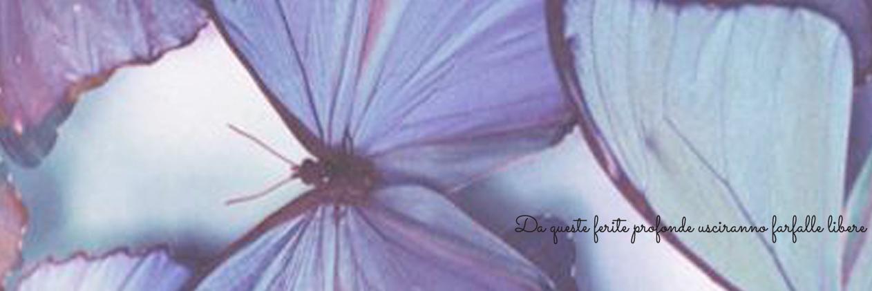 hachi_cherry's profile banner image