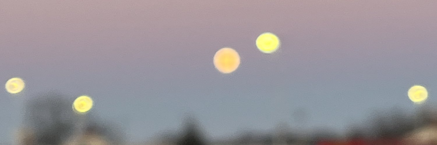 madelineminobe's profile banner image