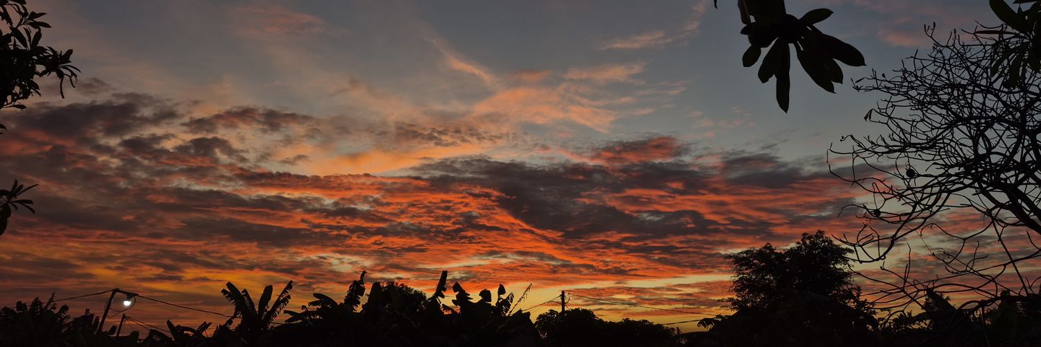 rara from the vault banner