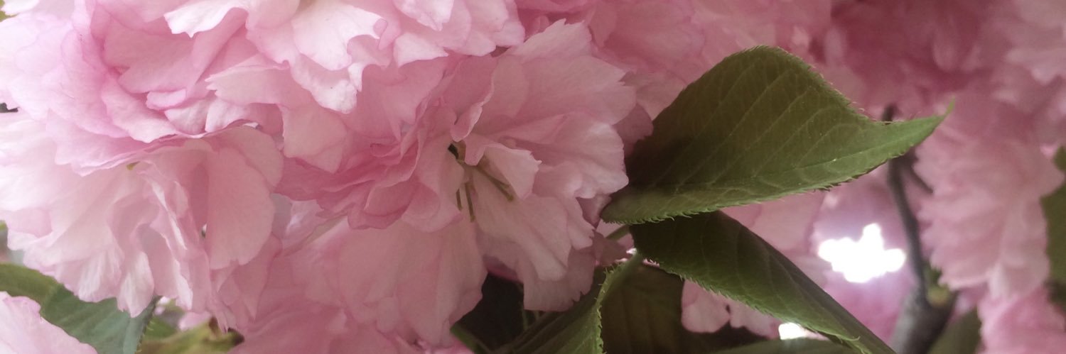 Iridesa • 💝 banner
