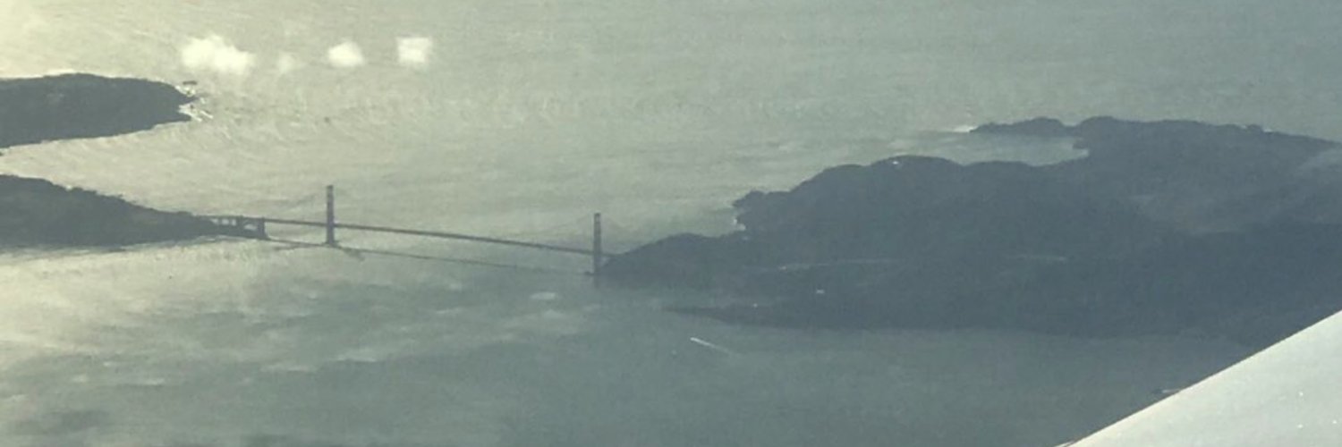 Shayan Mashatian banner