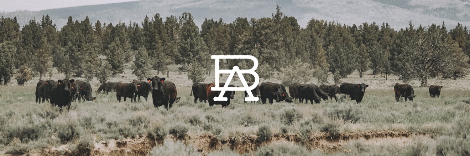 Travis Browne banner