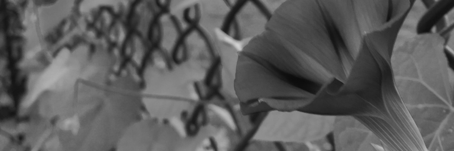 lynsey__v's profile banner image