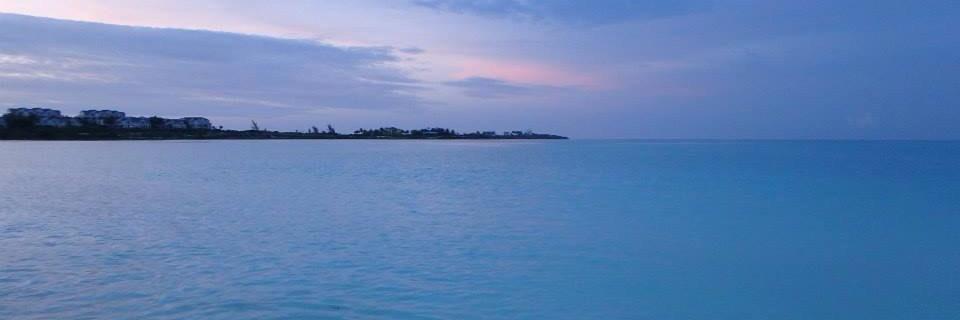 DebbieCriss's profile banner image