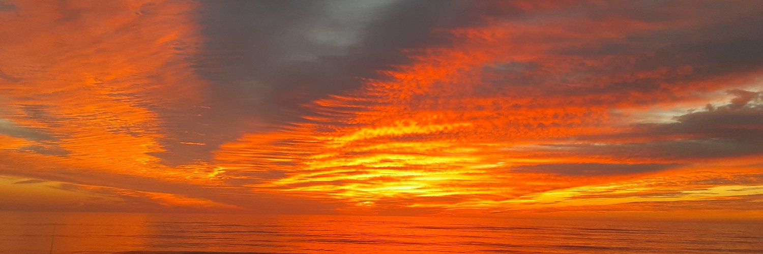 Jason Davidson banner