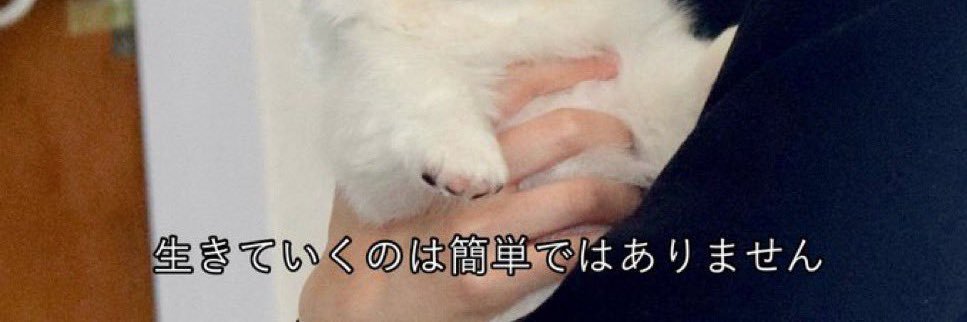 ❤️‍🔥 banner