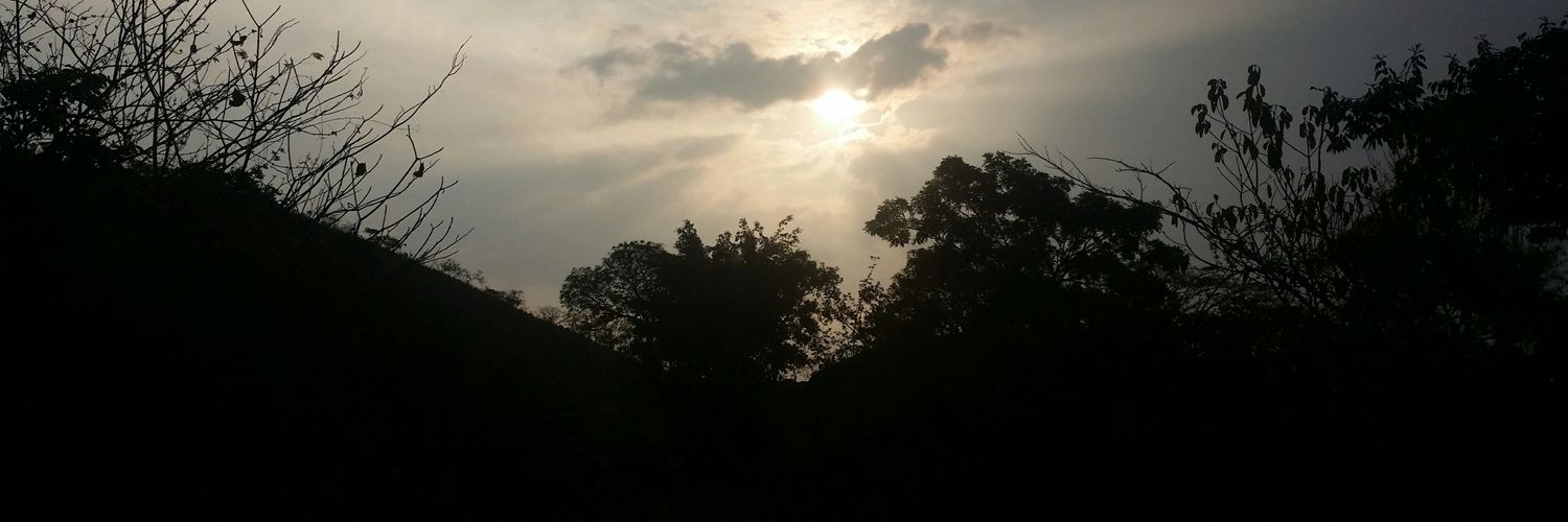 ostt__'s profile banner image