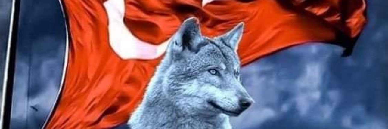 Fatih Demirel banner