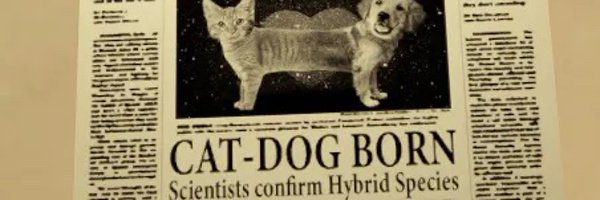 Vismyname3 Profile Banner