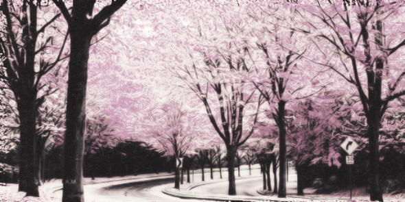deliciousgui's profile banner image