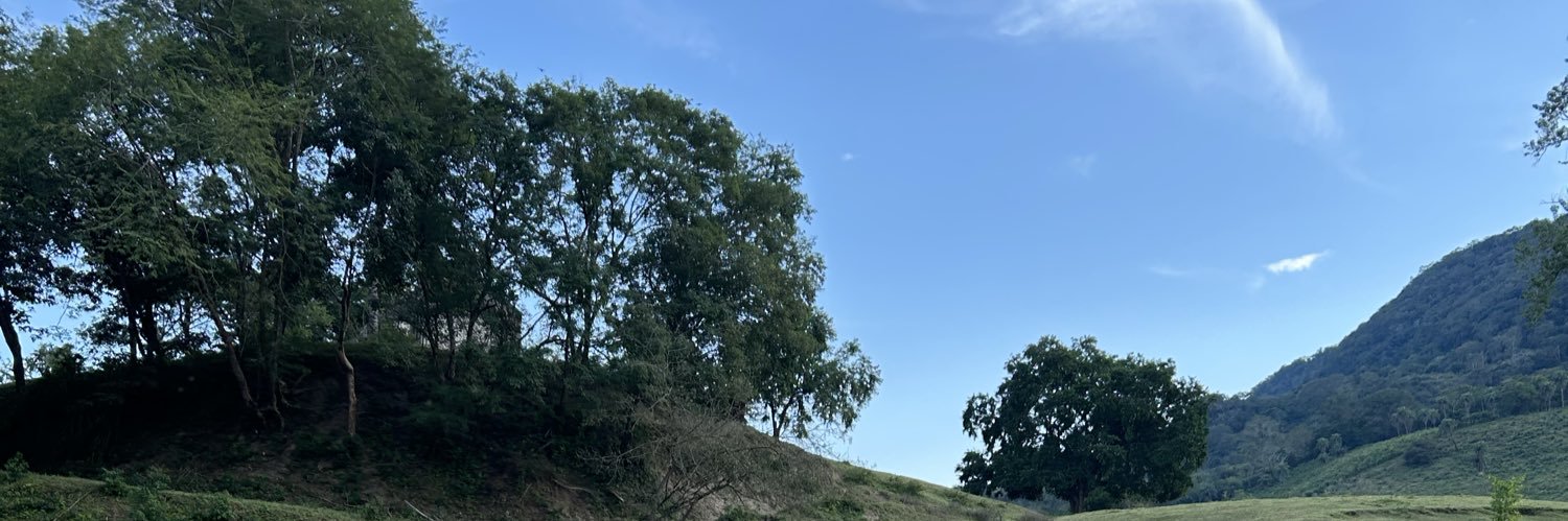 ihoshihae's profile banner image