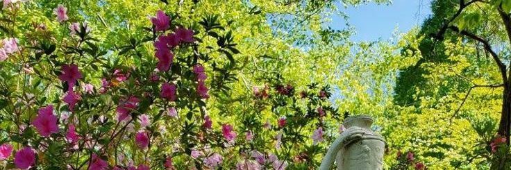 zyn_luu's profile banner image